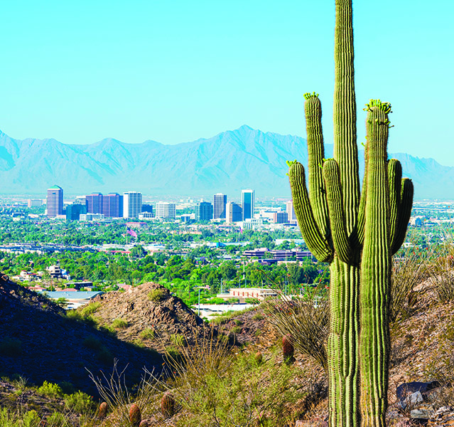 Phoenix, Arizona skyline with a cactus